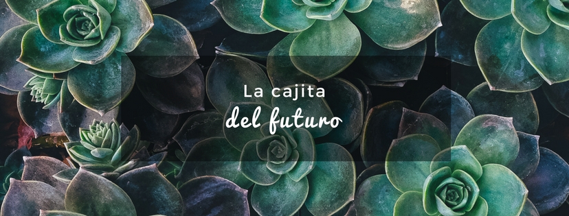 plan b viajero, turismo sustentable, la cajita del futuro