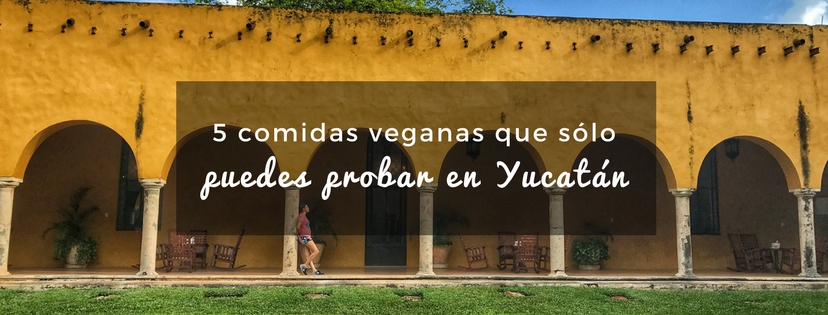 plan b viajero, turismo sustentable, comidas veganas de yucatán, platillos veganos yucatecos