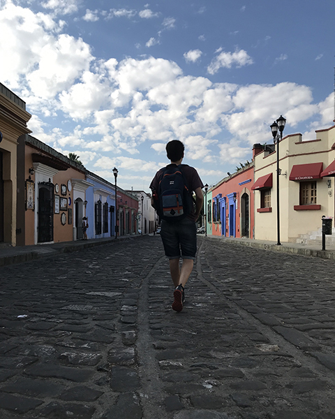 Oaxaca antes, lightroom presets mobile